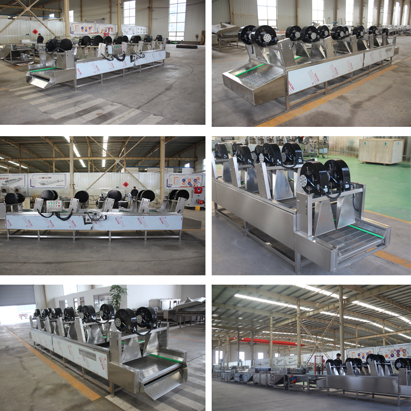 vegetable fruit washer air drying machine